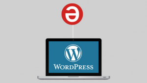 Img WordPress - Safe Creative