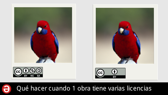 Safe Creative | Qué hacer cuando una obra tiene varias licencias