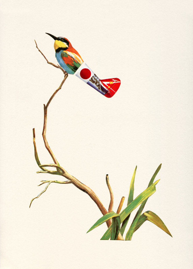 Japanese Bird Valero